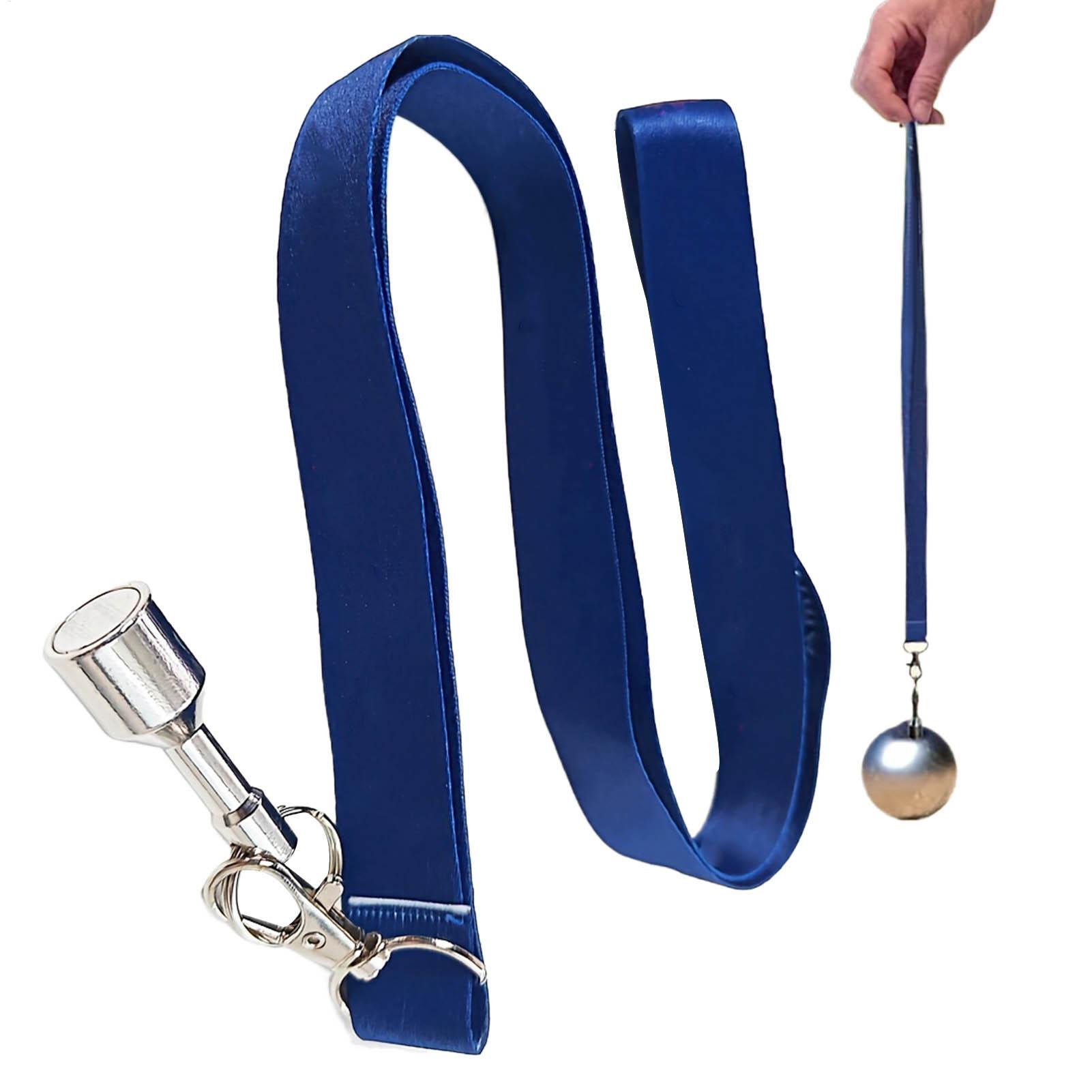 Bocce Balls Picker Set Secure  - Home Security Training recension och pris