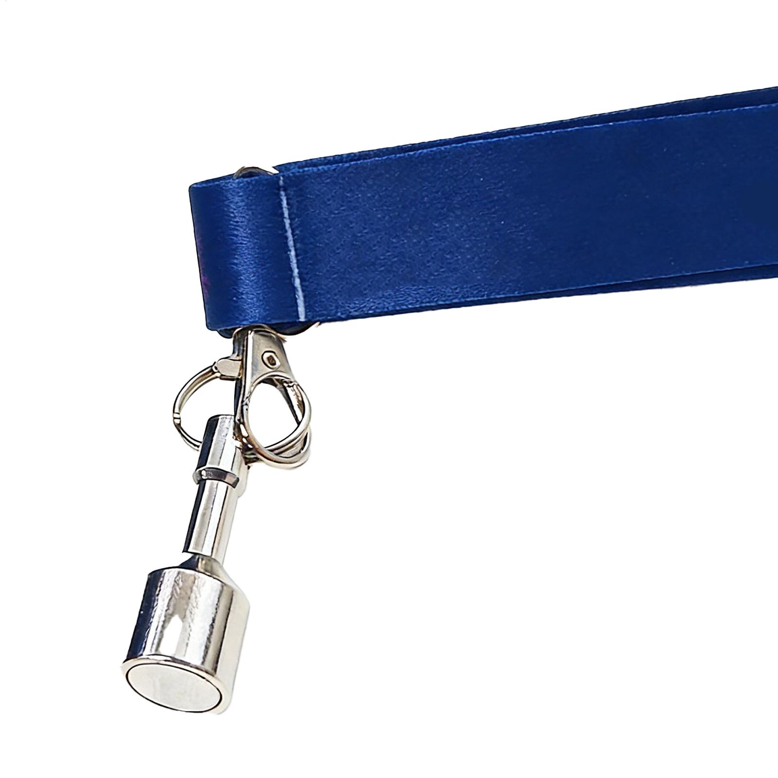 Bocce Balls Picker Set Secure  - Home Security Training recension och pris