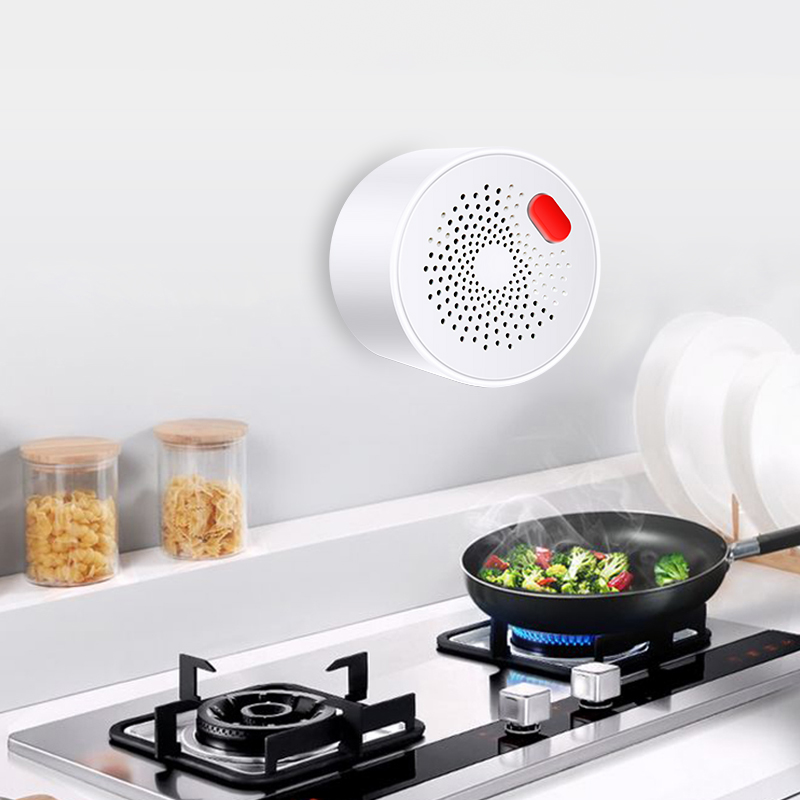 Tuya Smart Home Wifi Natural G - Home Security Devices recension och pris