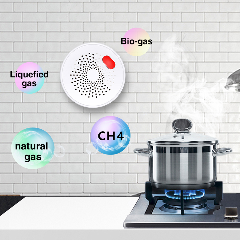 Tuya Smart Home Wifi Natural G - Home Security Devices recension och pris