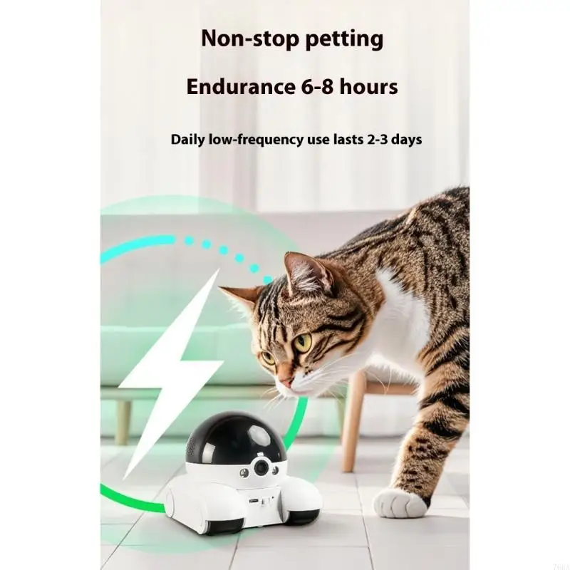 360 Degree Rotating Pet Camera - Home Security Training recension och pris